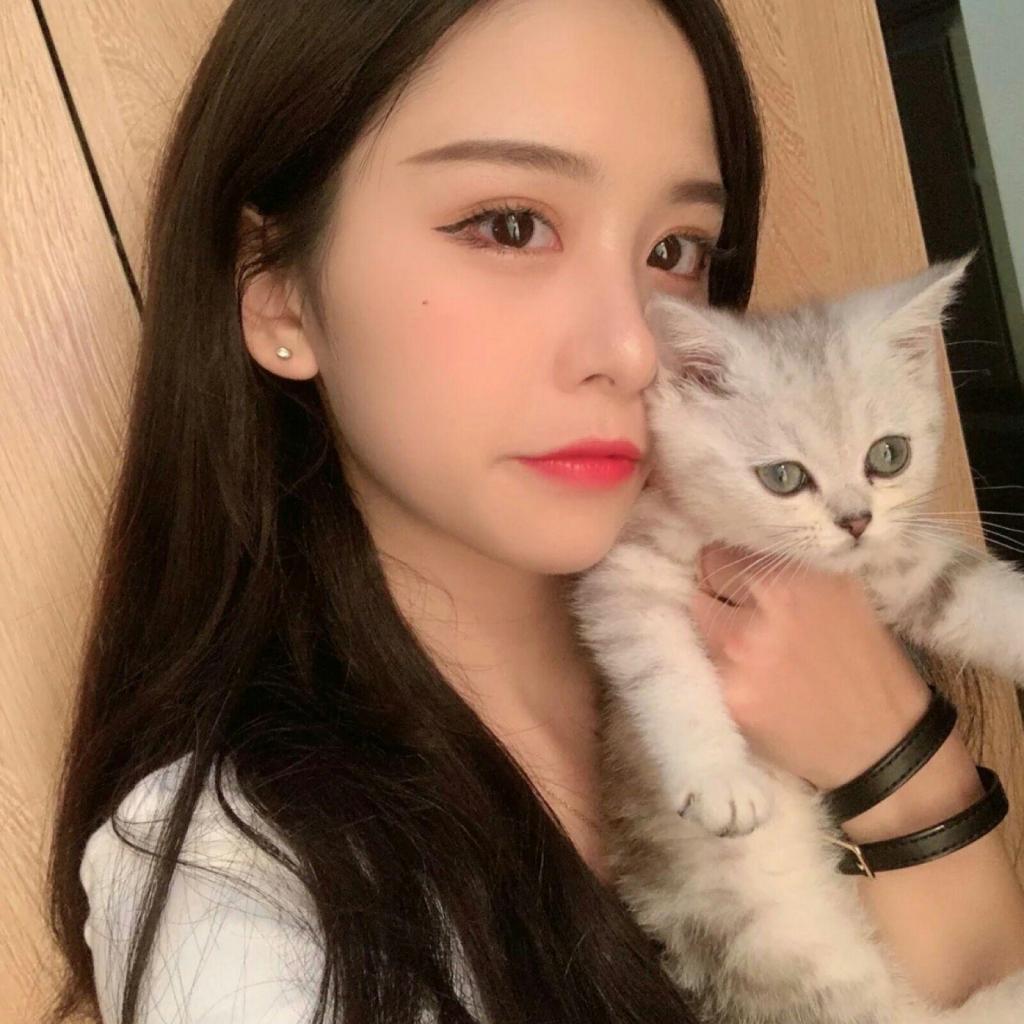 半岛网页版入口