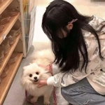 bte365真正的网站手机app下载